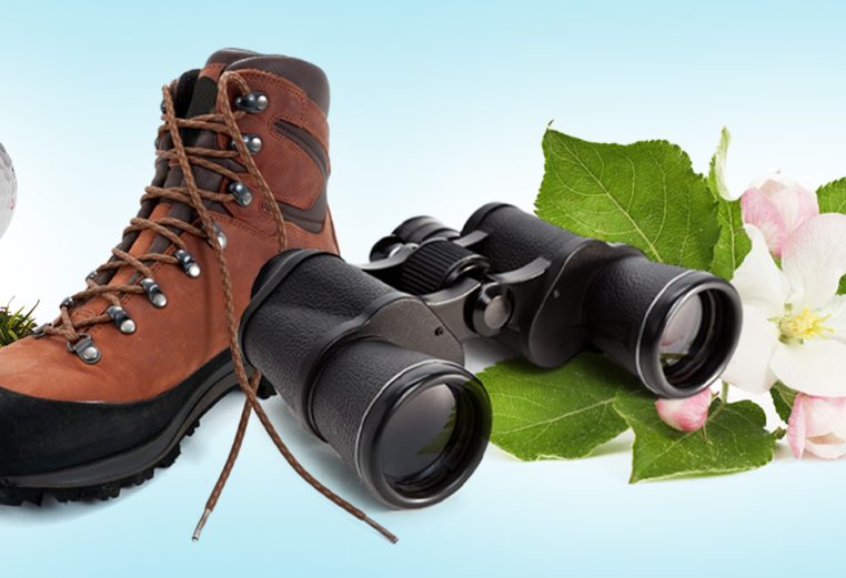 Image collage on light blue background: golf ball on a tee, brown hiking boot, black binoculars, white flower with pink tulips and big green leaves