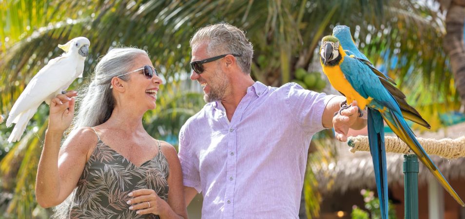 A man and woman hold tropical birds on their arms while enjoying owner exclusives from Margaritaville Vacation Club.