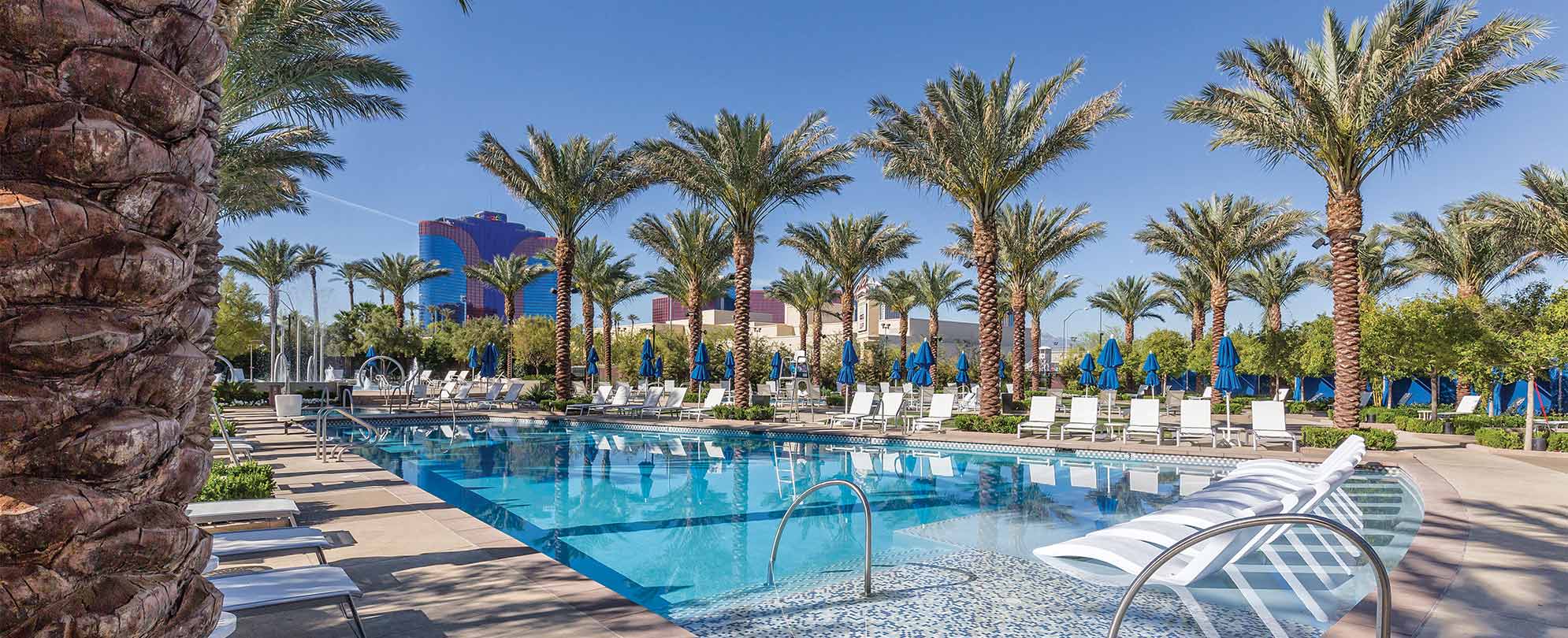 An outdoor pool with palm trees at the Margaritaville Vacation Club by Wyndham Desert Blue resort in Las Vegas